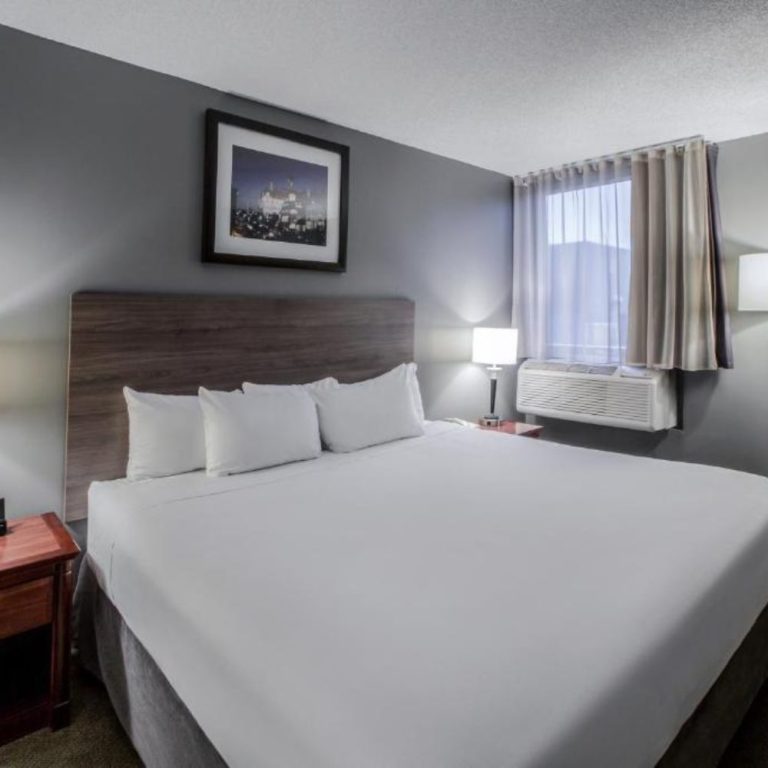 Modern Bedroom with Bed